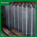 PVC coated 1/4 inch galvanized welded wire mesh